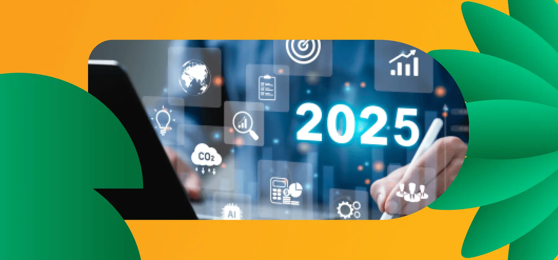 30_12_2024_2_1_931d0f8190